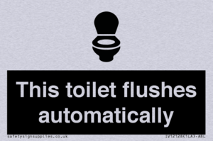 This toilet flushes automatically